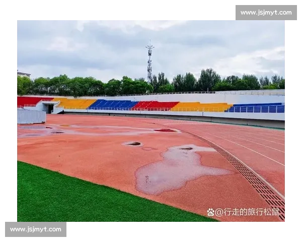 高效体育竞赛训练方法与体能提升策略研究